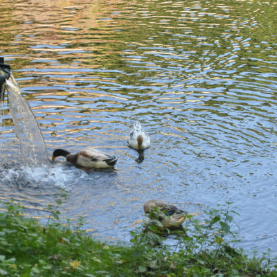 Bild vergr&ouml;&szlig;ern: Kleine Kulturtour