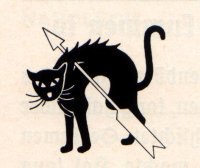 Bild vergr&ouml;&szlig;ern: Kattfiller-Katze