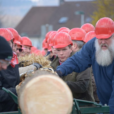 Bild vergr&ouml;&szlig;ern: Manneskraft