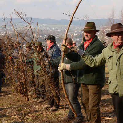 Bild vergr&ouml;&szlig;ern: Arbeiten am Osterkopp