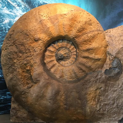 Bild vergr&ouml;&szlig;ern: Ein Exponat der Ausstellung Planet Erde