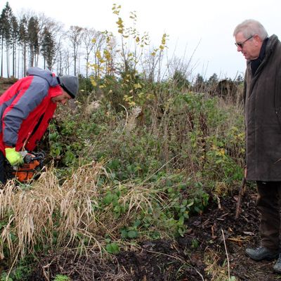 Bild vergr&ouml;&szlig;ern: Arndt G. Kirchhoff beobachten Einpflanzung der B�ume
