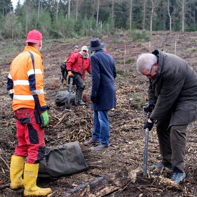 Bild vergr&ouml;&szlig;ern: In Attendorn werden B�ume gepflanzt.