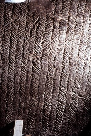 Bild vergr&ouml;&szlig;ern: Tennenpflaster aus der Zeit nach 1783 Pfarrhaus