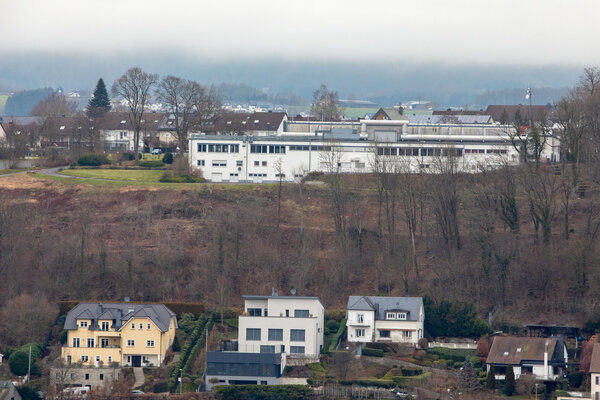 Bild vergr&ouml;&szlig;ern: Das Gel�nde des B�rgerparks vor dem Umbau, Wald. Die Stadthalle im Hintergrund.