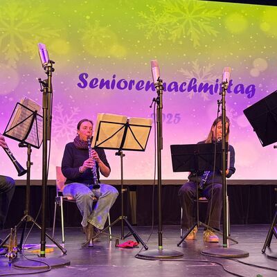 Bild vergr&ouml;&szlig;ern: Zwei Frauen und zwei M�nner mit Klarinetten auf einer B�hne