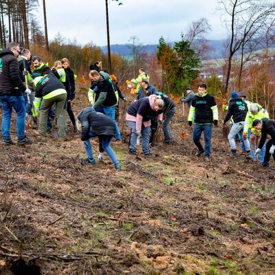 Bild vergr&ouml;&szlig;ern: Eine Gruppe von Menschen pflanzt B�ume