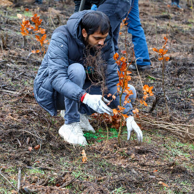 Bild vergr&ouml;&szlig;ern: Ein Mann pflanzt einen Baum