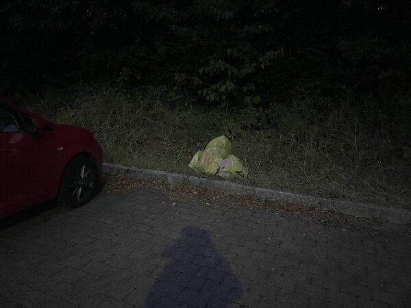 Bild vergr&ouml;&szlig;ern: b3f8f7cf370e500c862f4b2ded31db93_g