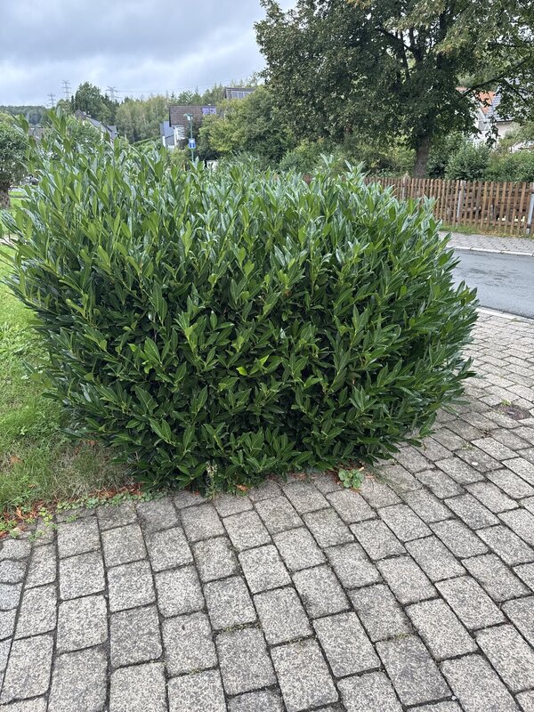 Bild vergr&ouml;&szlig;ern: e2e65694b1f94a8b84135e985c6ccaf5_g