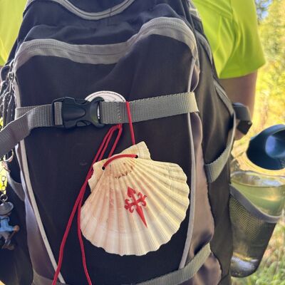 Bild vergr&ouml;&szlig;ern: Eine Pilgermuschel an einem Rucksack.