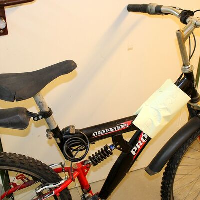 Bild vergr&ouml;&szlig;ern: F 53/2019