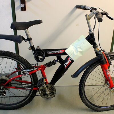 Bild vergr&ouml;&szlig;ern: F 53/2019 2