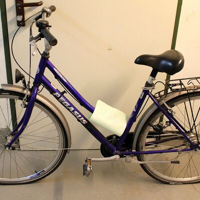 Bild vergr&ouml;&szlig;ern: Fundfahrrad 37-2019