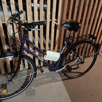 Bild vergr&ouml;&szlig;ern: Fundfahrrad 33-2017